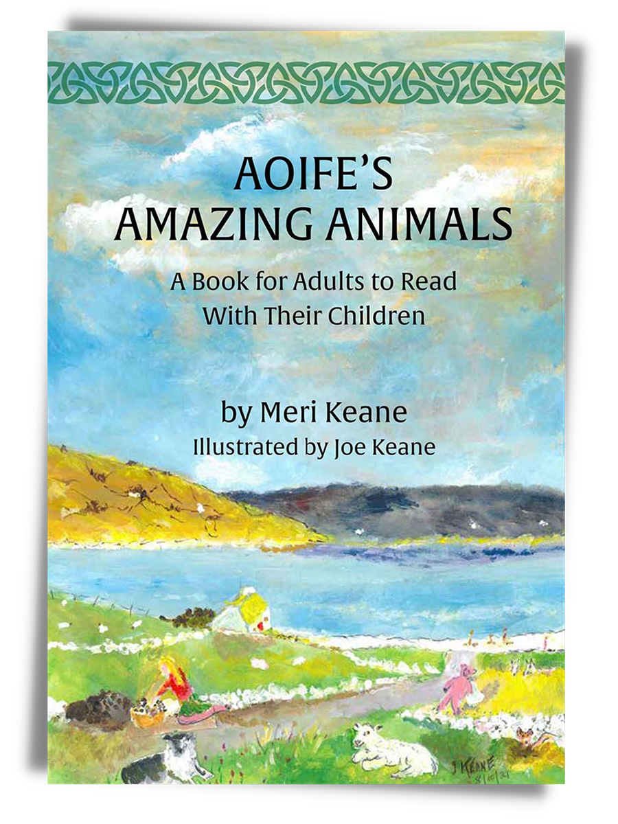 Aoife's Amazing Animals book cover